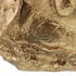 Figura Decorativa 42 x 32 x 69 cm Buda
